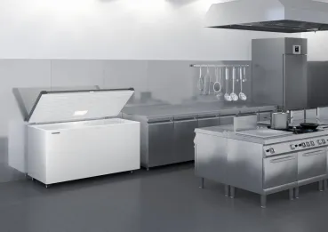 Liebherr 4656 Gefriertruhe mit Deckeldichtung