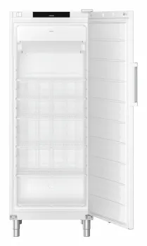 liebherr fffvg 6501 gastro nofrost standgefrierschrank gross
