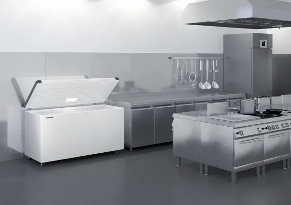Liebherr 4656 Gefriertruhe mit Deckeldichtung