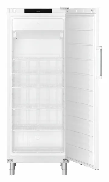 liebherr fffvg 6501 gastro nofrost standgefrierschrank gross
