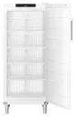 Liebherr fffsg 4001 performance nofrost gefrierschrank